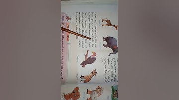 Class 2nd Evs chapter 15 The World of Animals (part 1)