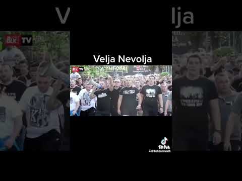 Velja Nevolja