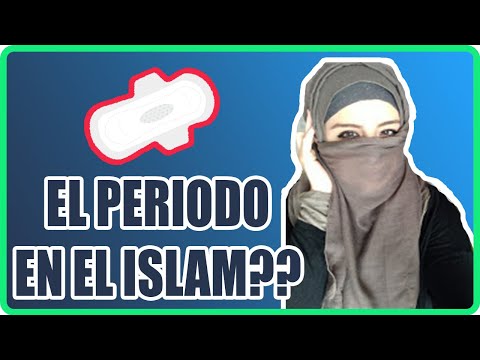 Vídeo: 4 Mujeres Comparten Sus Historias De Visitar Mezquitas Como No Musulmanas - Matador Network