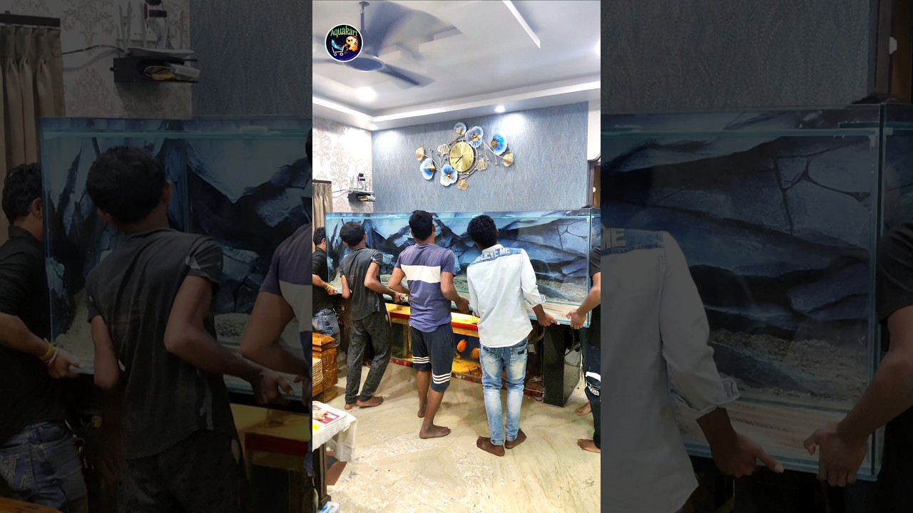 8 Feet Monster Aquarium Tank / Fish Tank #aquakart #fish #aquarium