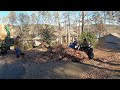 NIGHTMARE backyard. HUGE AMOUNT OF LEAVES. We had to use mowers to PLOW leaves in NEIGHBORS DRIVEWAY