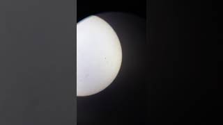 HUGE Sunspots AR2835 and AR2836. 28 JUNE 2021. بقع شمسية جديدة ضخمة