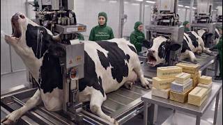 INSANE Butter Production Process | How Unsalted Butter Is Made in Factories