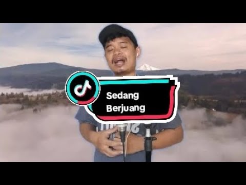 Sedang Berjuang Suci Arshinta(karauke)