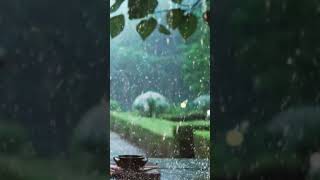 ☂️수퍼소닉 천둥과 장대비 쏟아져 힐링되는 스트레스 해소 폭우 빗소리 thunderstorms and rainstorms #shorts 🌿#rainsounds