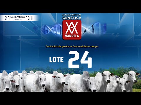 LOTE 24   GCL 5285