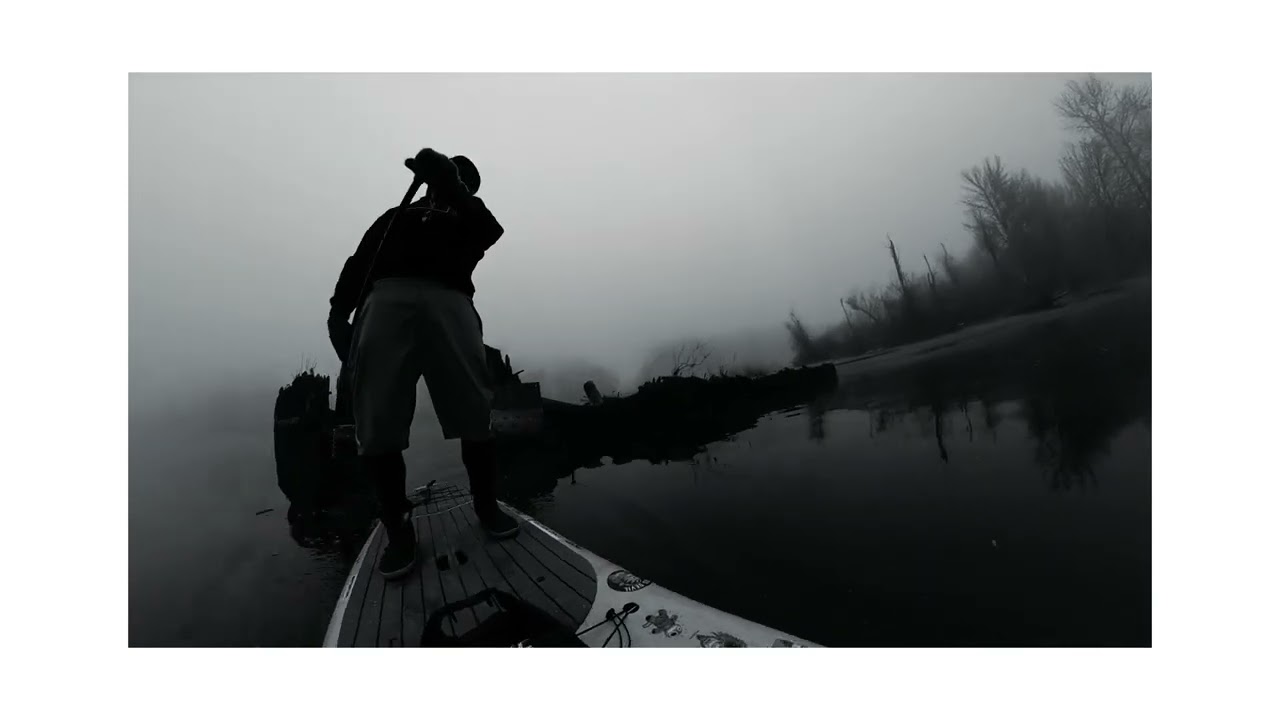 Foggy PNW mornings in the middle of winter