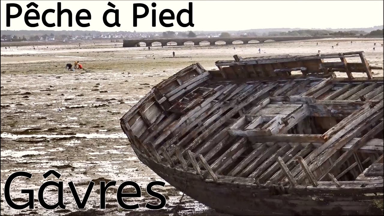 Grande Marée Basse ; Gâvres ; Pêche à Pied ; Presqu'île ; Morbihan ; Bretagne Sud ; France