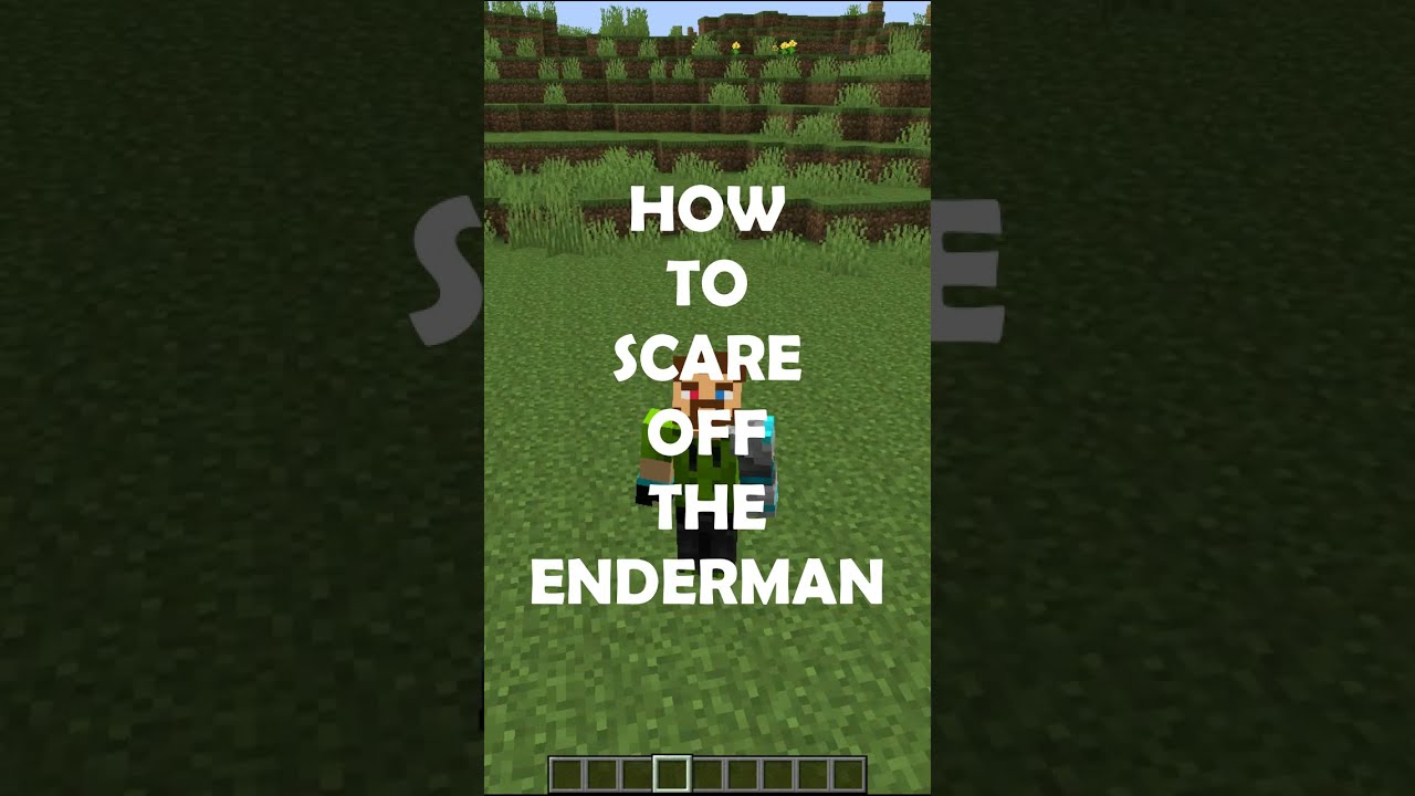 HOW TO SCARE OFF THE ENDERMAN - MINECRAFT HACKS, TIPS AND TRICKS ...