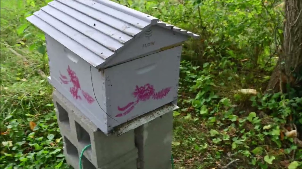 2023 Fall Beehive Update