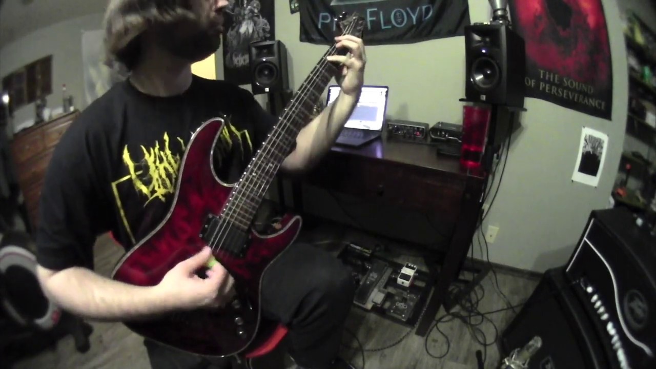 Defeated Sanity - Fatal Self Inflicted Disfigurement - Guitar Cover