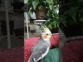 É hora de dormir. Com Deus me deito e com ele me levantou.