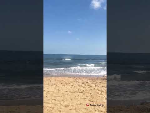 يا غربة رسينا إيمان البحر درويش أمواج من بورسعيد أغاني تسعينات