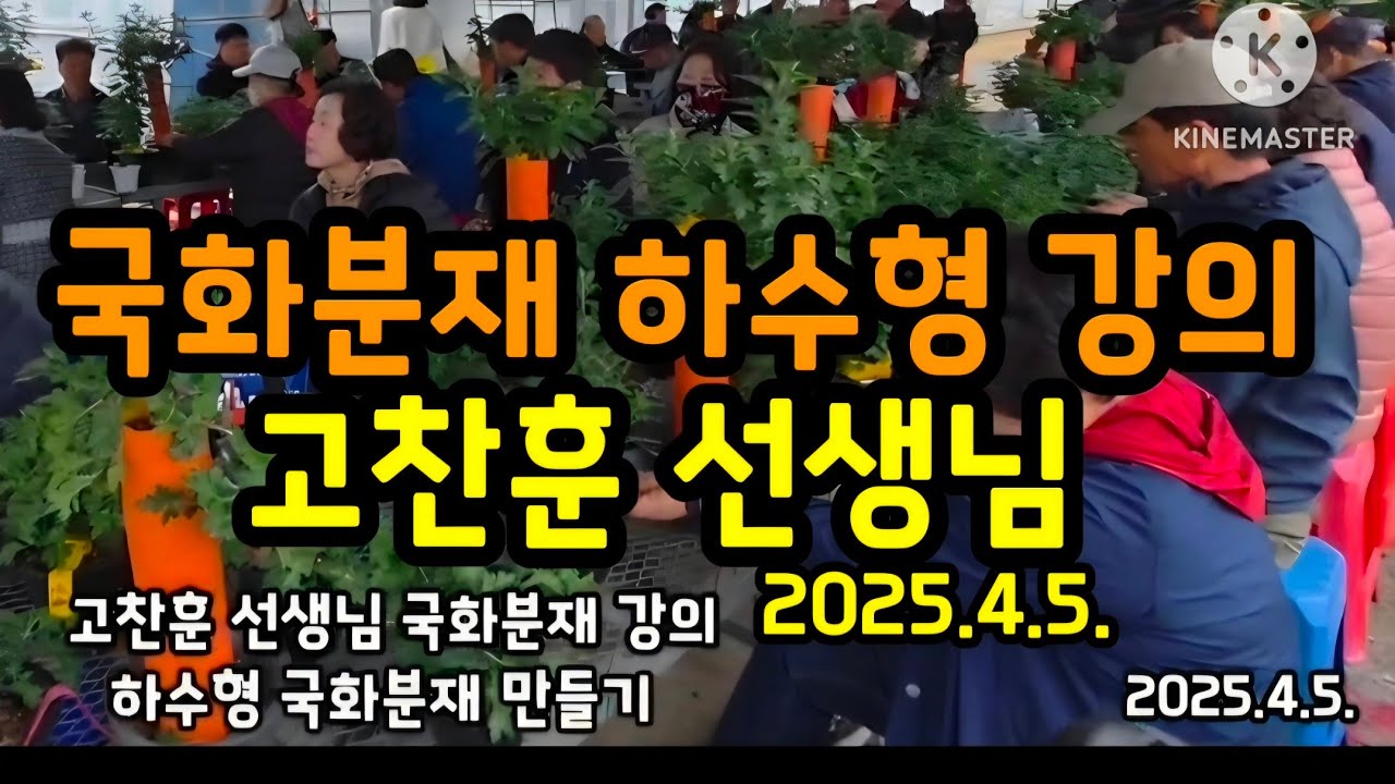 국화분재 하수형 강의 🌻 