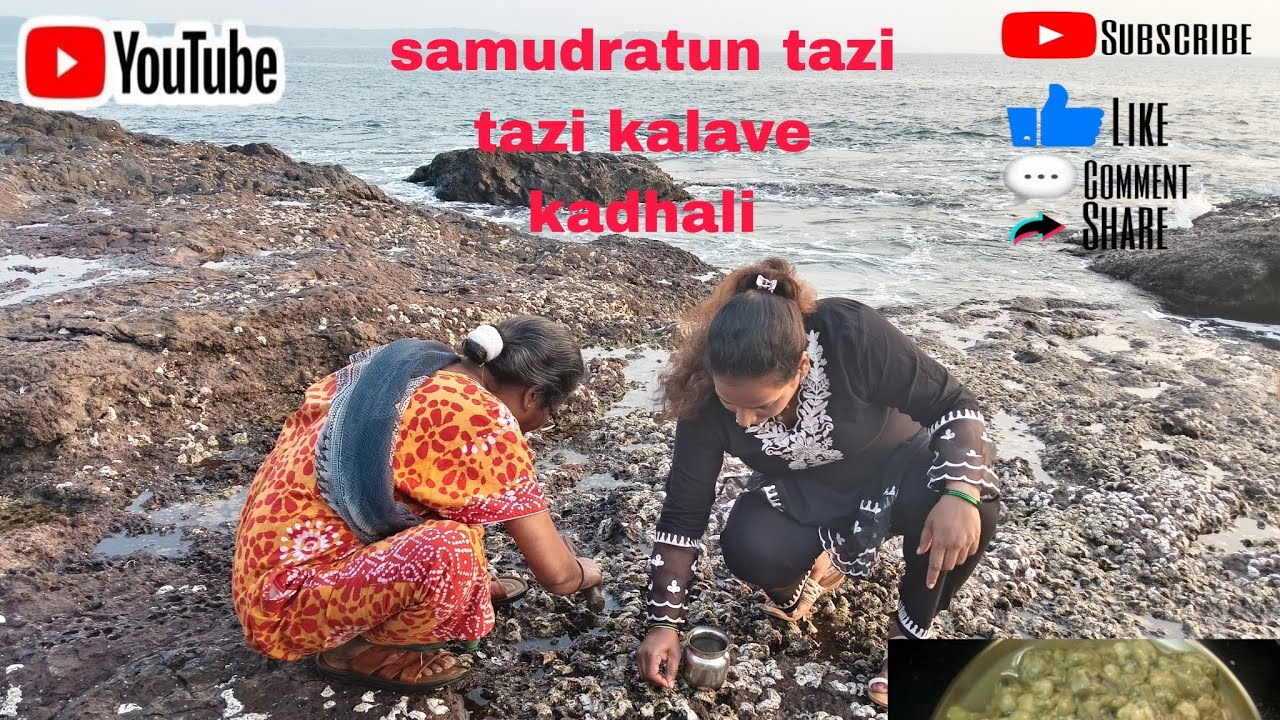  Aaisobat Jaun Khadli Tazi Tazi Kalave 🌊🌴