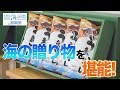 海と日本プロジェクト 全国海の贈り物フェア 日本財団 海と日本PROJECT in 静岡県 2019 #31