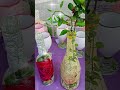 From Trash to Treasure: Easy Decoupage Bottle Makeover!