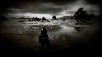 potential fix for flickering water in Red Dead Redemption 2