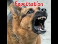 The way people see me v/s How actually I am | Don't be afraid of me | I just wanna be your Furriend
