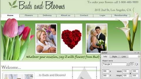 How to add shapes with website builder ezweb123.com