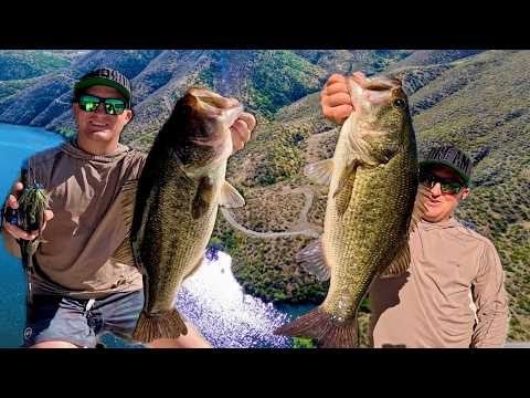 I Can’t Believe This Worked… (Bass Were Destroying It)