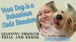 Your Dog is a Behaviour Code Breaker! : Learning Through Trial and Error