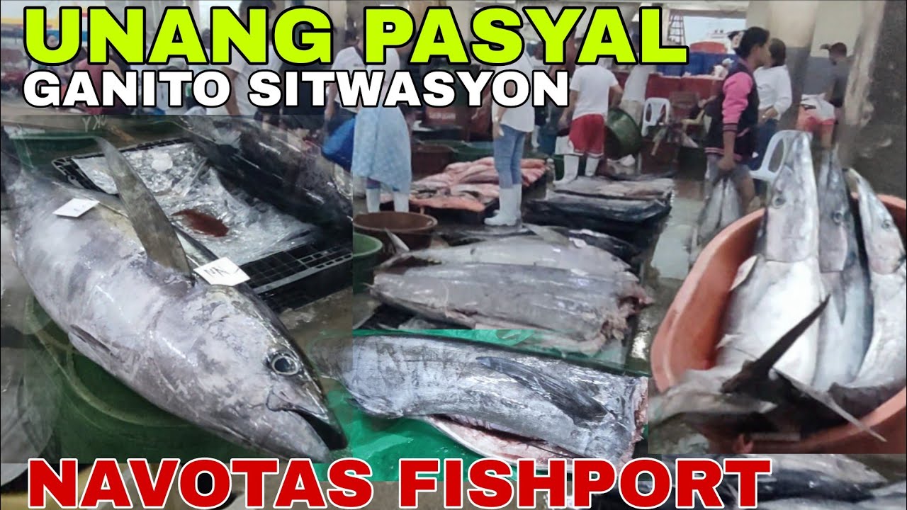 EPS 373. DAGSA MALALAKING ISDA|NAVOTAS FISHPORT