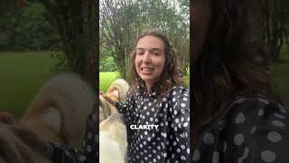 What Your Dog Actually Needs From You