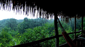 Amazon Rain on Jungle Lodge. Heavy Rain and Thunder Sounds for Sleeping 10 hours. Rain 4k ultra hd.