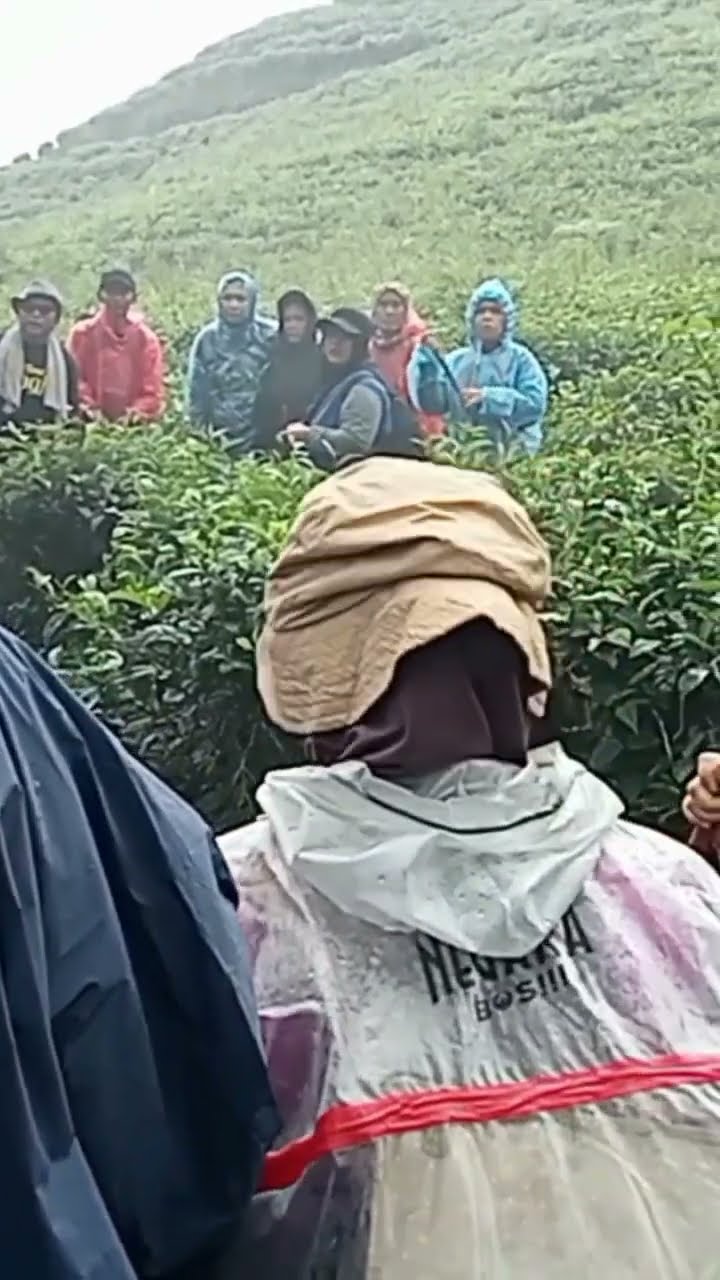 Akhirnya Tiba Di Gn Gorowong