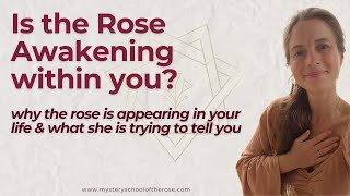 Is the Rose Awakening within you?