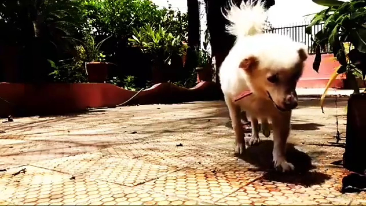 Moto g4 plus slow mo video