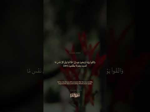 سورة البقرة الآية رقم 281 بصوت مشاري راشد العفاسي مع الترجمة الإنجليزية القران لايك اكسبلور 