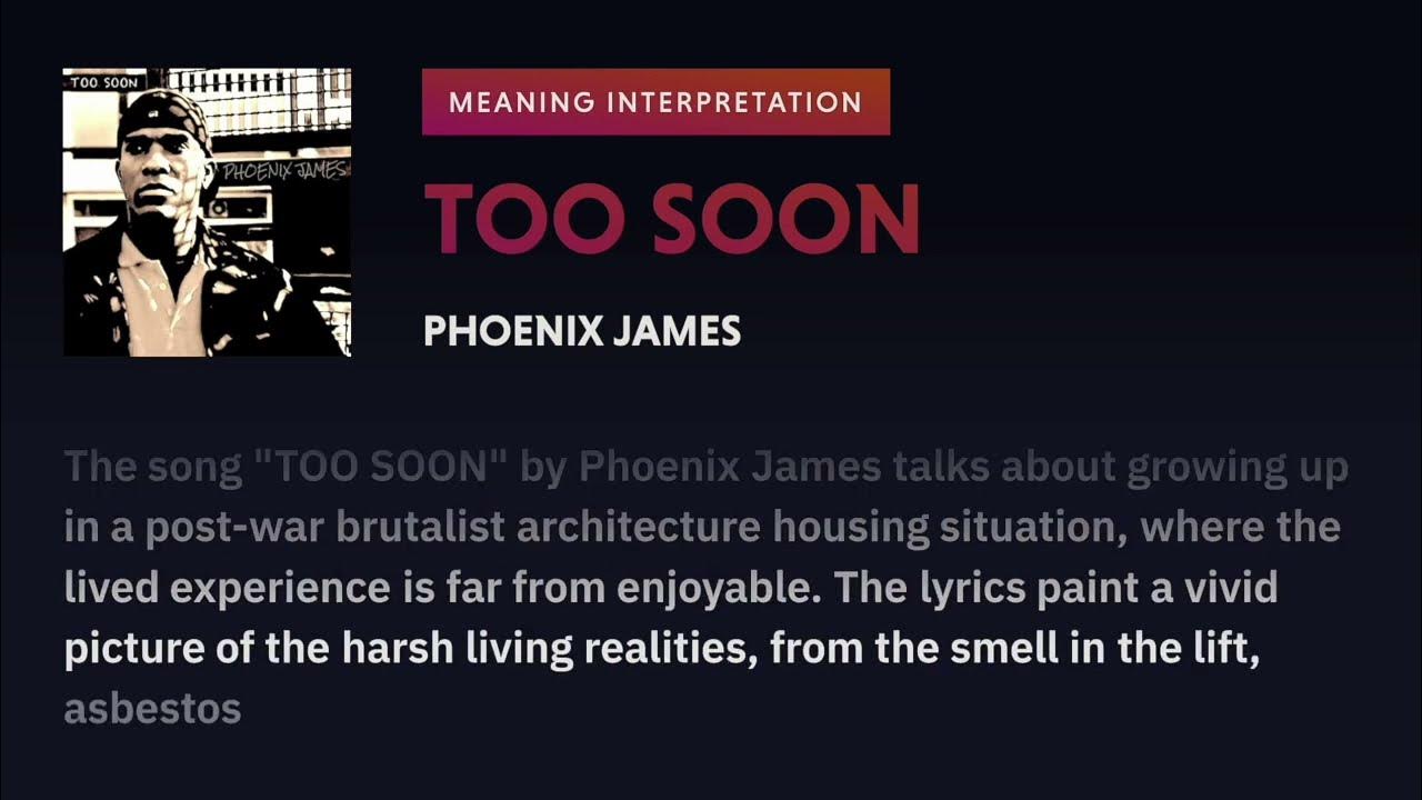 Phoenix James TOO SOON Meaning Interpretation Spoken Word Poetry phoenix-james-too-soon-meaning-interpretation-spoken-word-poetry