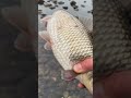 Amazing Fishing Village | Fishermen Daily Routine