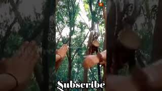 Mahadev Se Arjun Ko Mila Pashupatastraka Gyanmahabharat