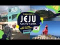 Koreatravelguide 7d solo trip to jeju island explore jeju by public buses  what is tmoney card