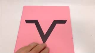 Vinnie Vincent Invasion Fan Club Kits 1986 – 1988 (KISS)