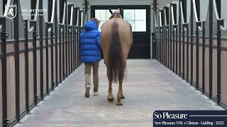 So Pleasure - Walk & 360°