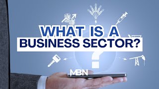 What is a Business Sector?