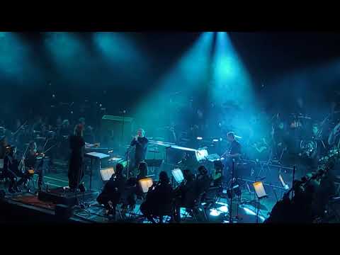 Sigur Rós + Orchestre de chambre de Lyon - Starálfur  - 09/09/2026 - Lyon, Amphithéâtre 