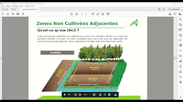 Comment faire un traitement phytosanitaire ?
