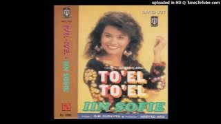 IIN SOFIE - TO'EL TO'EL (Cipt. Arsyad Abu)