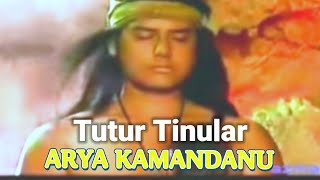 Tutur Tinular ARYA KAMANDANU  Versi Anto Wijaya