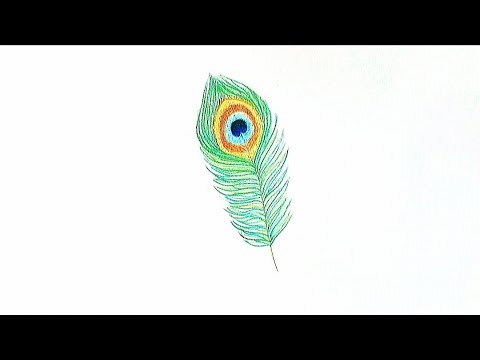 Lessons from the K-12 Art Room: 3rd Grade: Peacock Feather Drawings