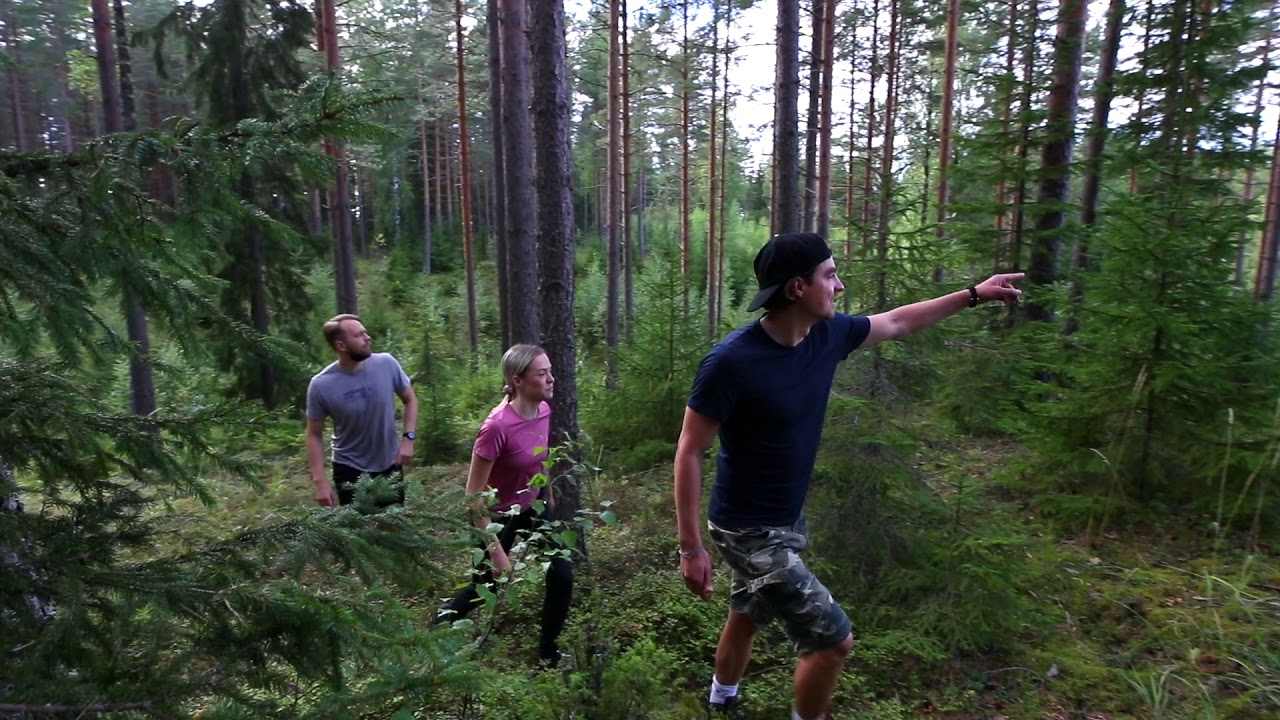 Ecological activity holidays in Finland: Hiking