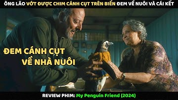 Ông Lão Vớt Được Chim Cánh Cụt Trên Biển Đem Về Nuôi Và Cái Kết | Review Phim