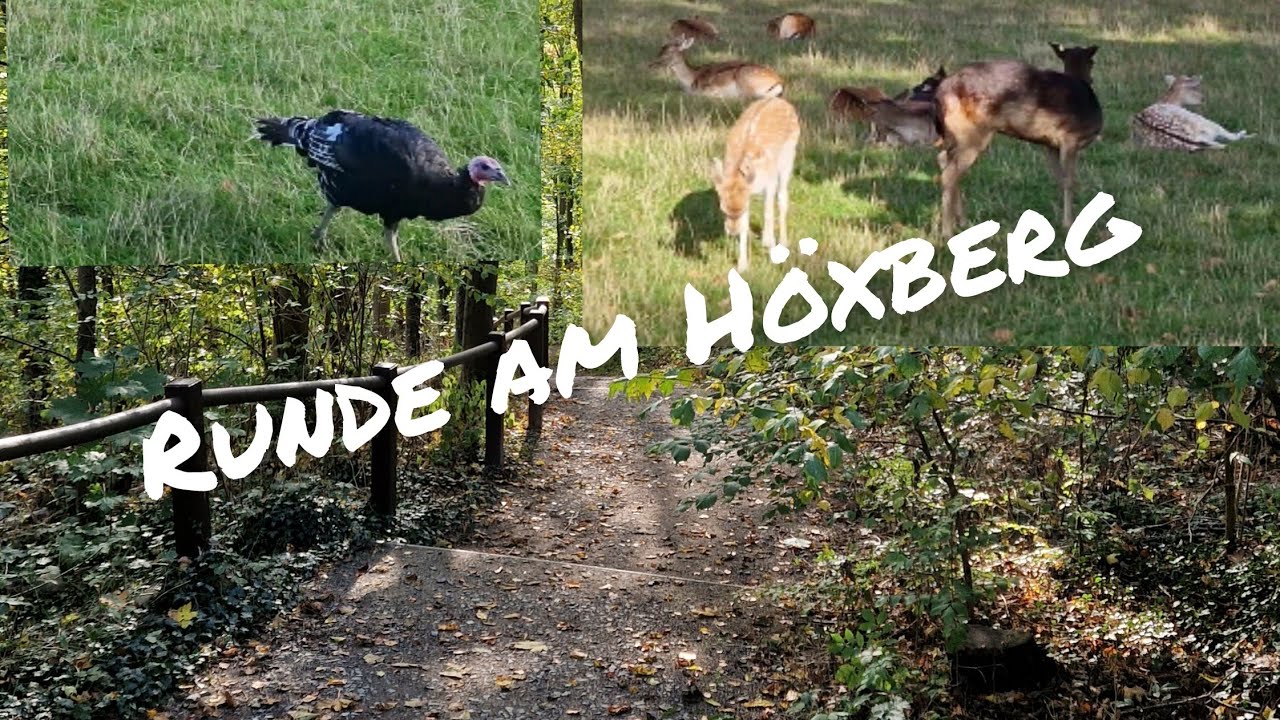 Beckum Höxberg Minitour - Hügeltraining - Planungen