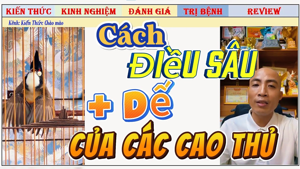 Cho chim ăn dế & Sâu có tốt không? Sự thật bất ngờ!