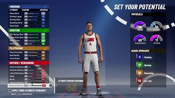 2-Way Sharpshooter Shooting Guard (Equal Shooting and Defensive Build) - NBA 2K21